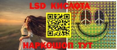 мдпв Донской