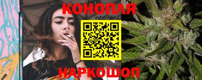 шишки Дубна