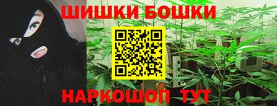 шишки Дубна
