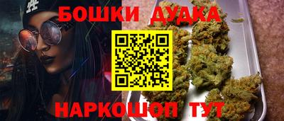 шишки Дубна