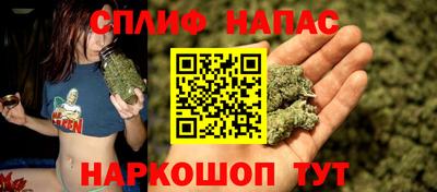 мдпв Донской