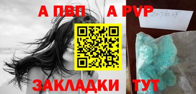шишки Дубна